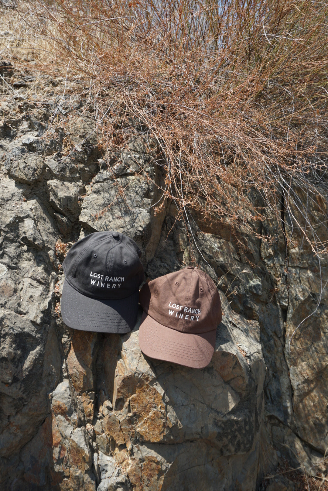 LOST RANCH HAT BROWN - Lost Ranch Winery