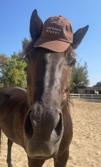 LOST RANCH HAT BROWN - Lost Ranch Winery